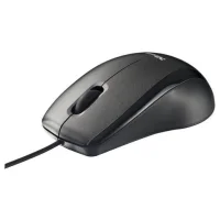 Мышь Trust Carve USB Optical Mouse фото 1